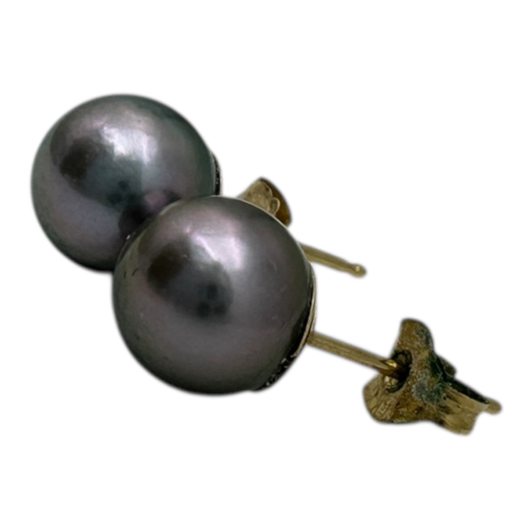 14 karat, gold 7 mm Akoya, gray cultured pearls earrings studs AAA quality