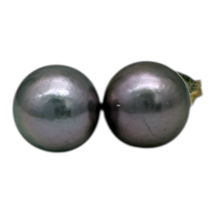 14 karat, gold 7 mm Akoya, gray cultured pearls earrings studs AAA quality