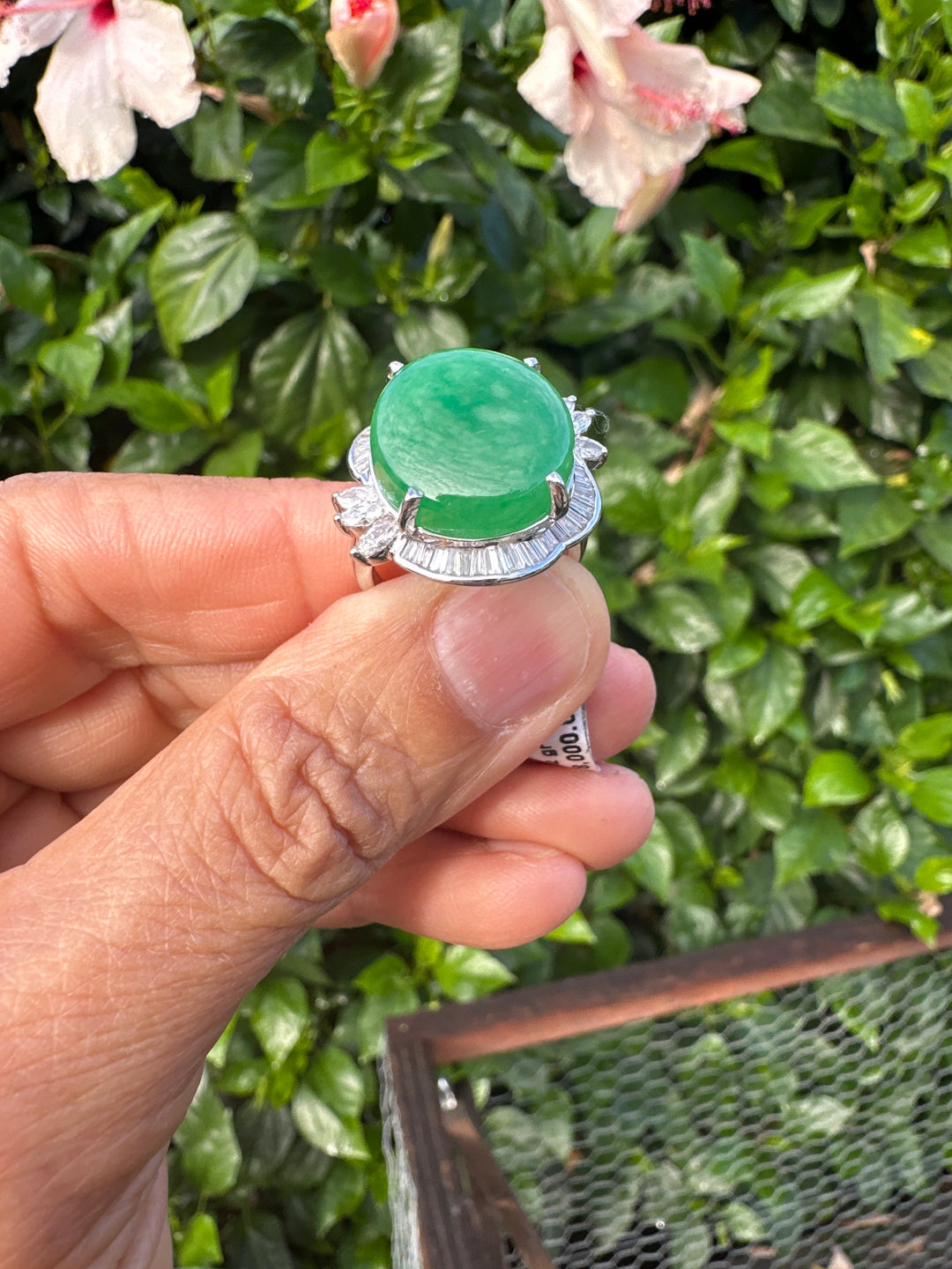 15 Ct. Jadeite and Diamond Ballerina Ring 14Kt White Gold