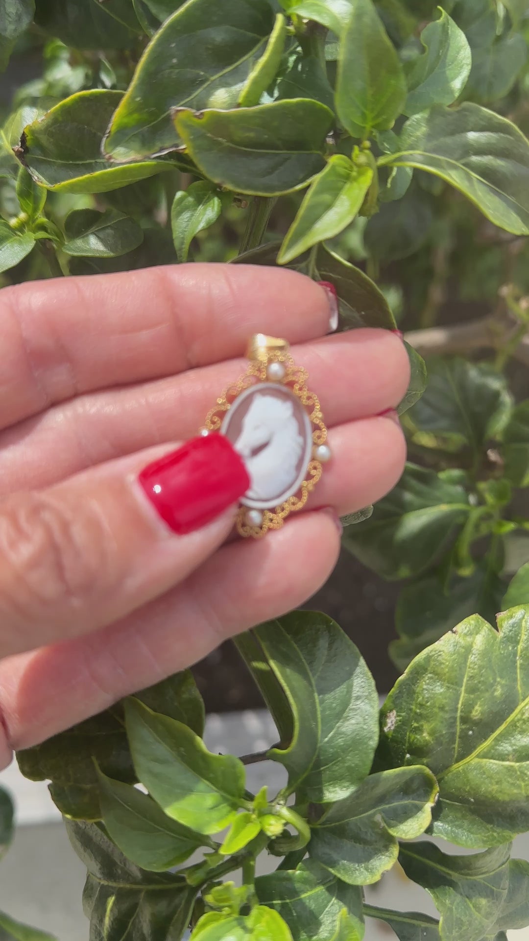 14kt Yellow Gold Horse Cameo with Pearls