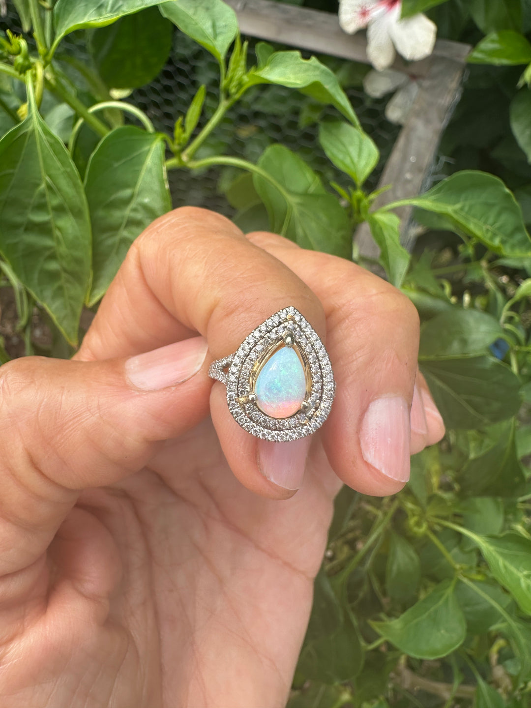 14 karat halo opal ring .80 carat diamond.