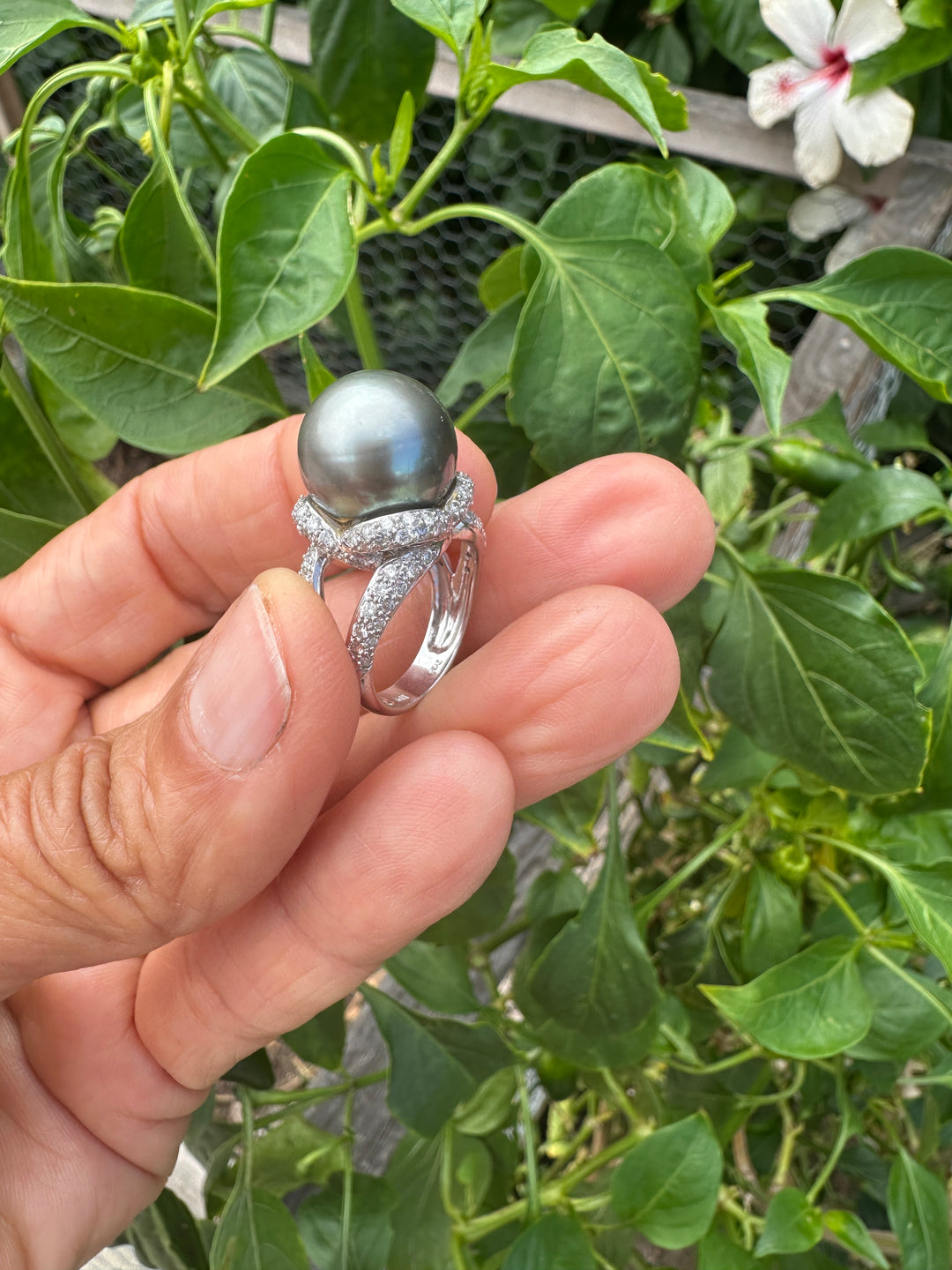 AAA Diamond and Gray 14.5mm Tahitian Pearl 1 ct Ring