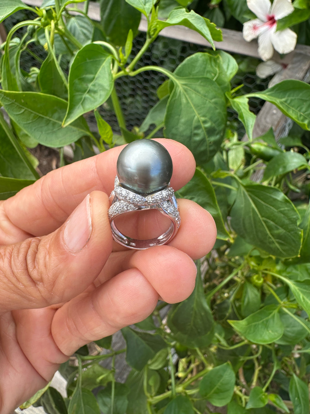 AAA Diamond and Gray 14.5mm Tahitian Pearl 1 ct Ring