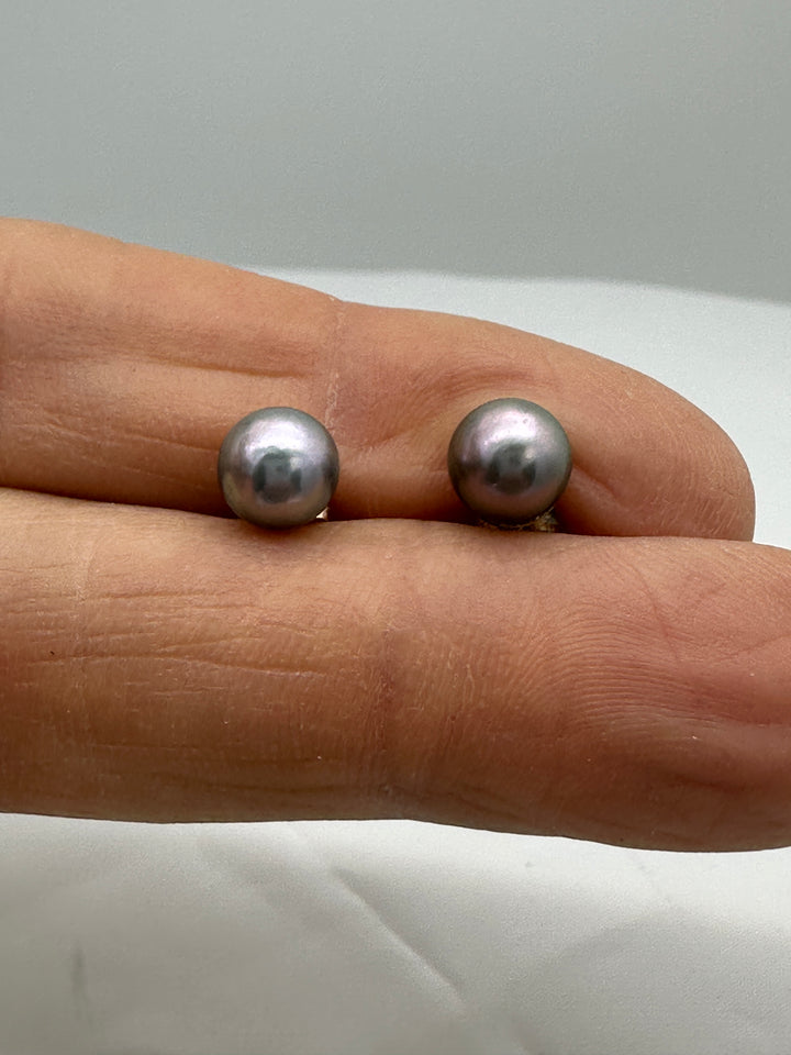 14 karat, gold 7 mm Akoya, gray cultured pearls earrings studs AAA quality￼