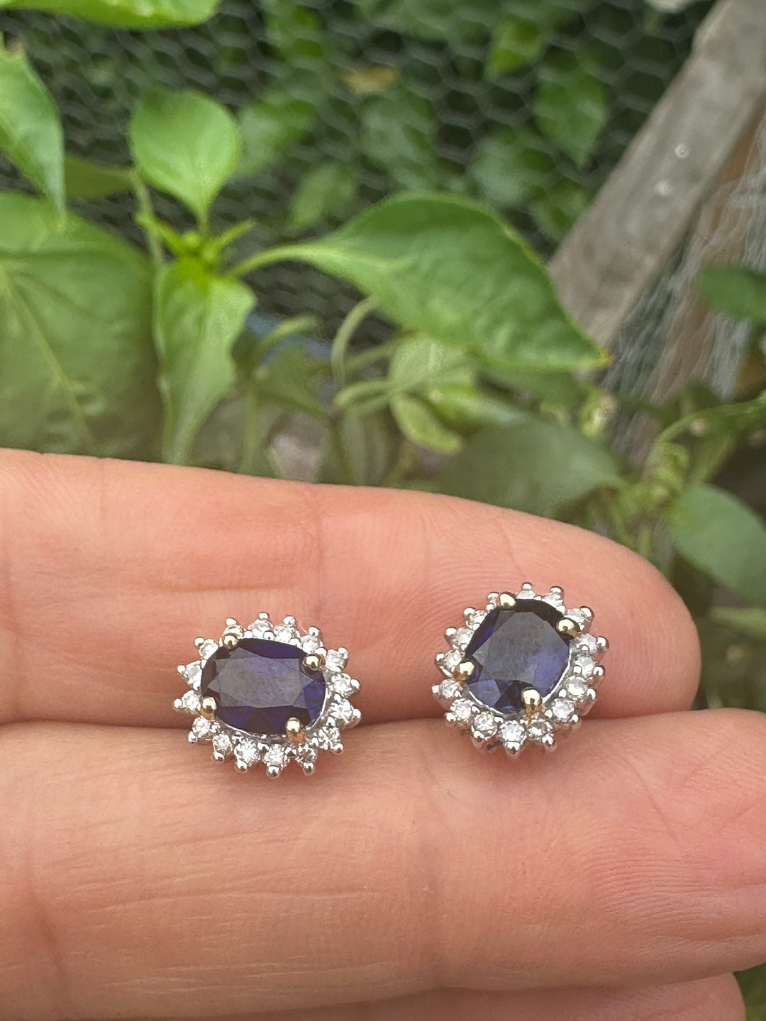 Two tone, 2 carat, sapphire, and diamond, halo stud earrings