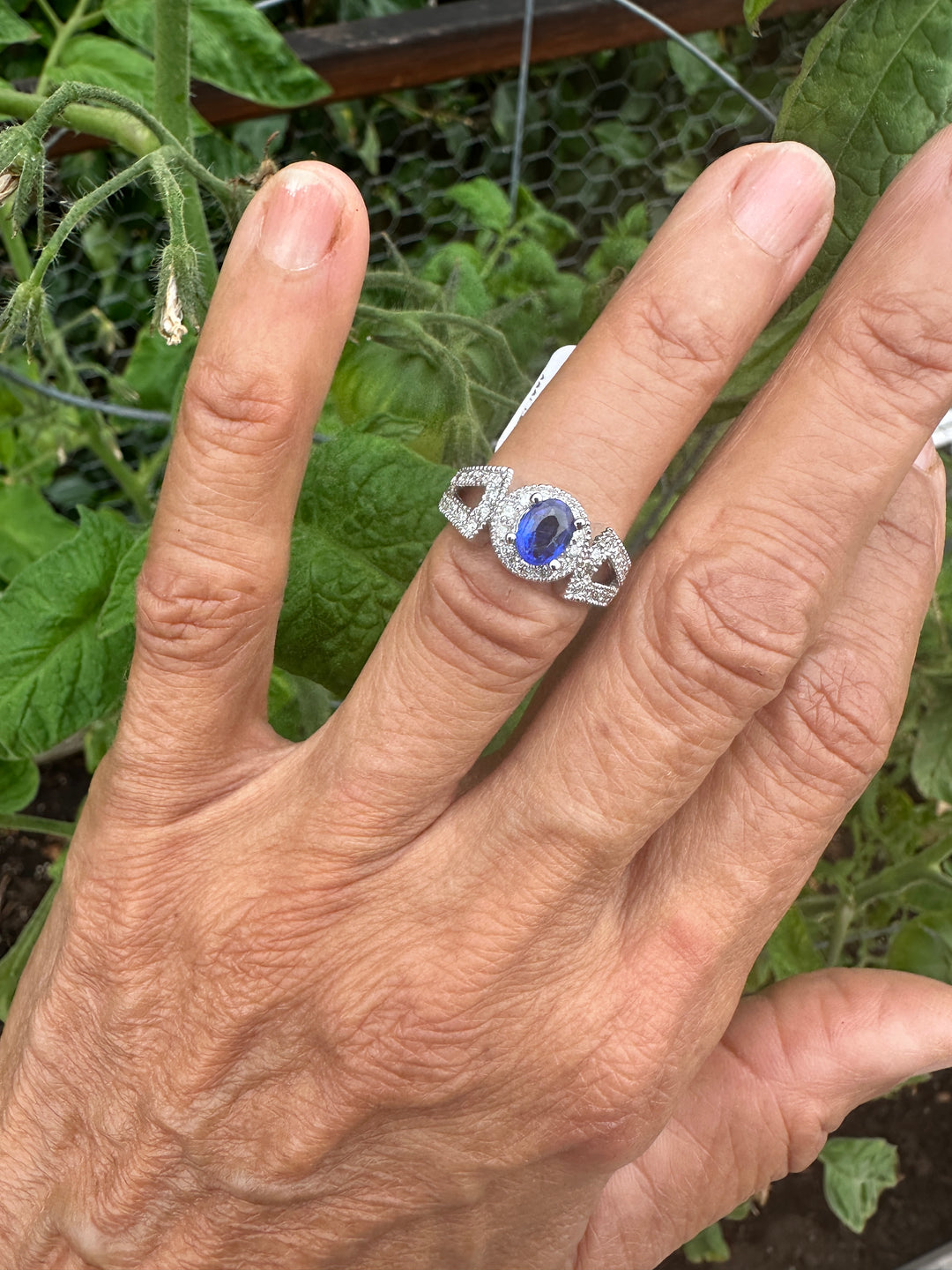 14kt White Gold Sapphire and Diamond Split Shank Ring 1.69ctw