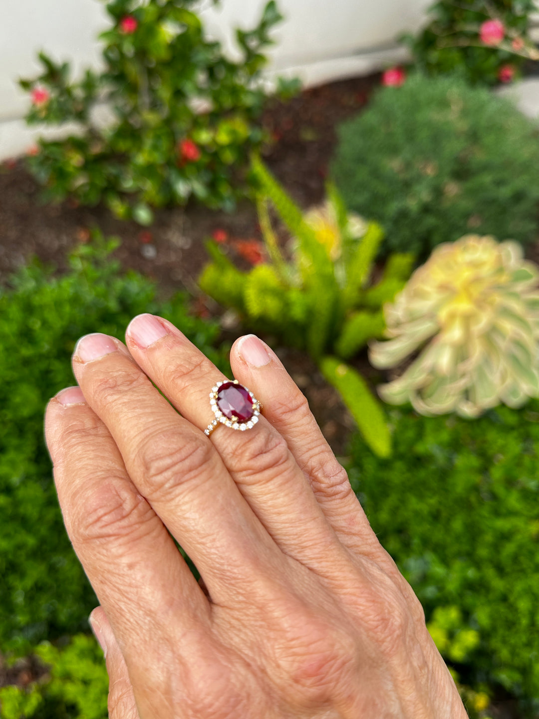 14 karat 3.93 carat red ruby halo ring