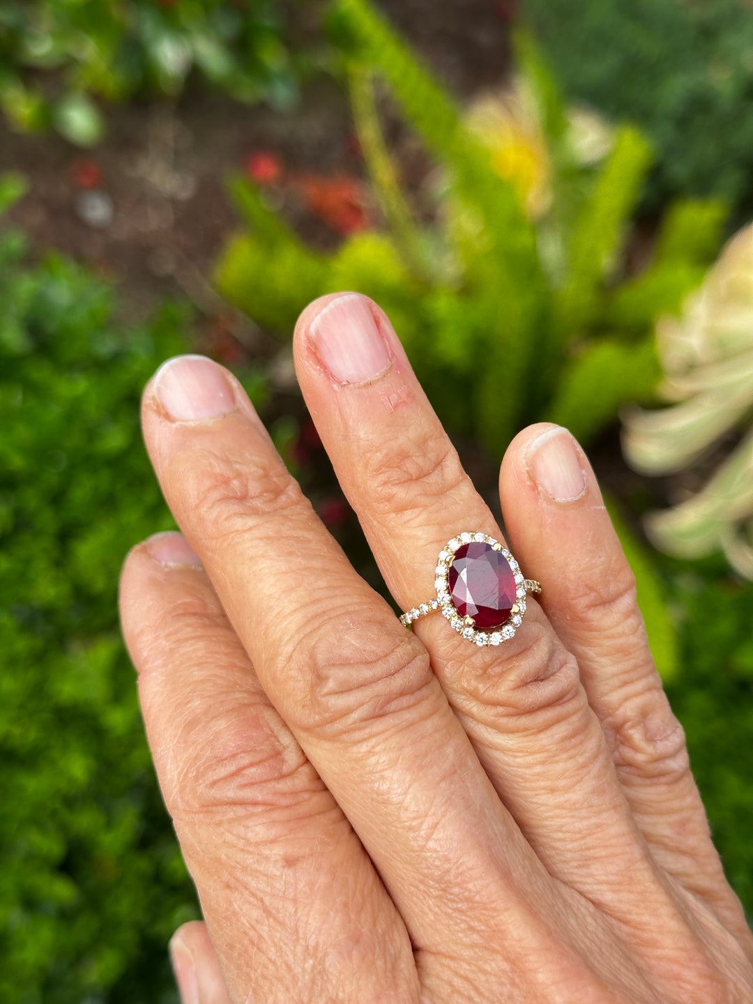 14 karat 3.93 carat red ruby halo ring