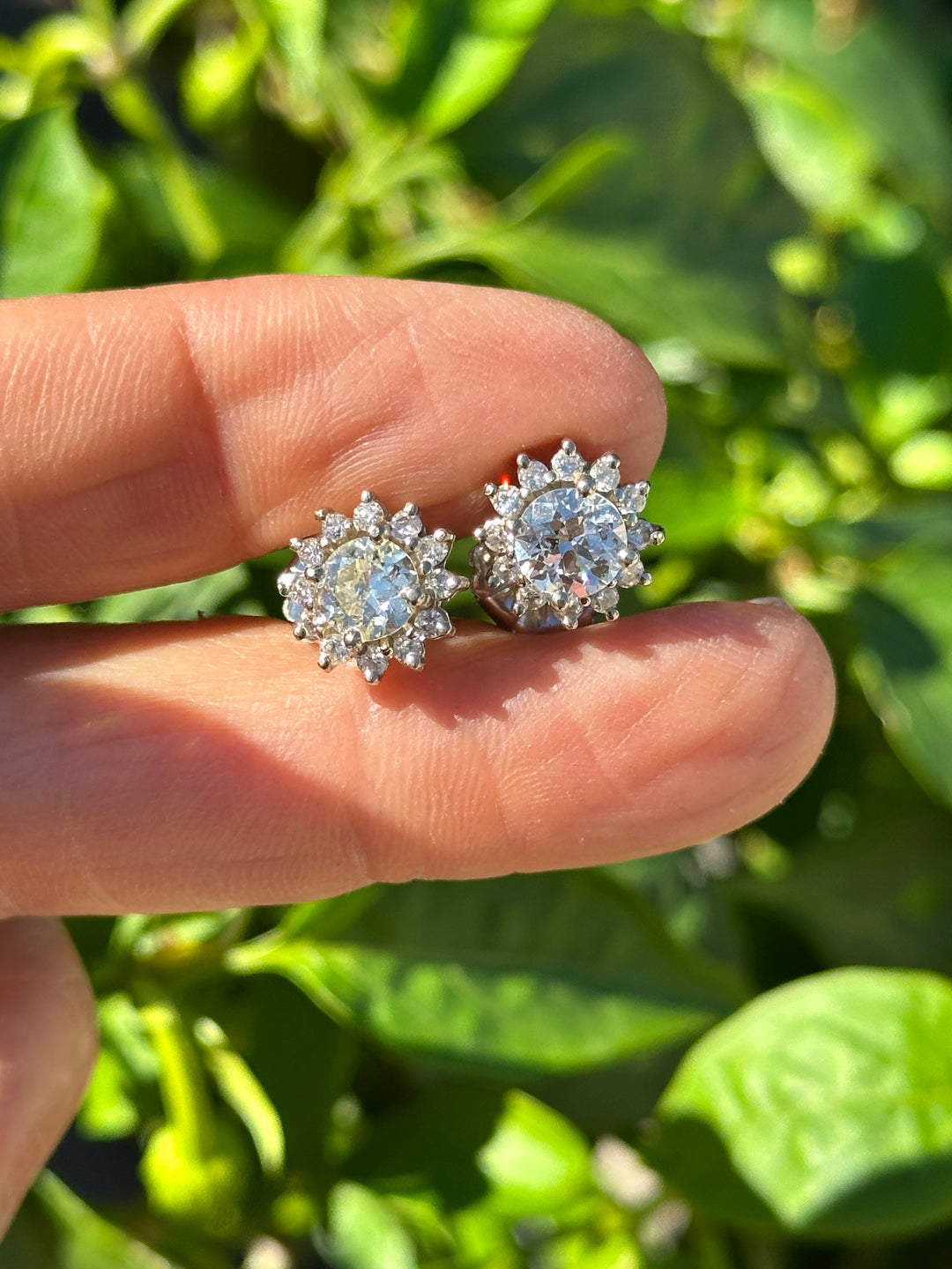 14 karat halo, 2.50 carat diamond stud earrings