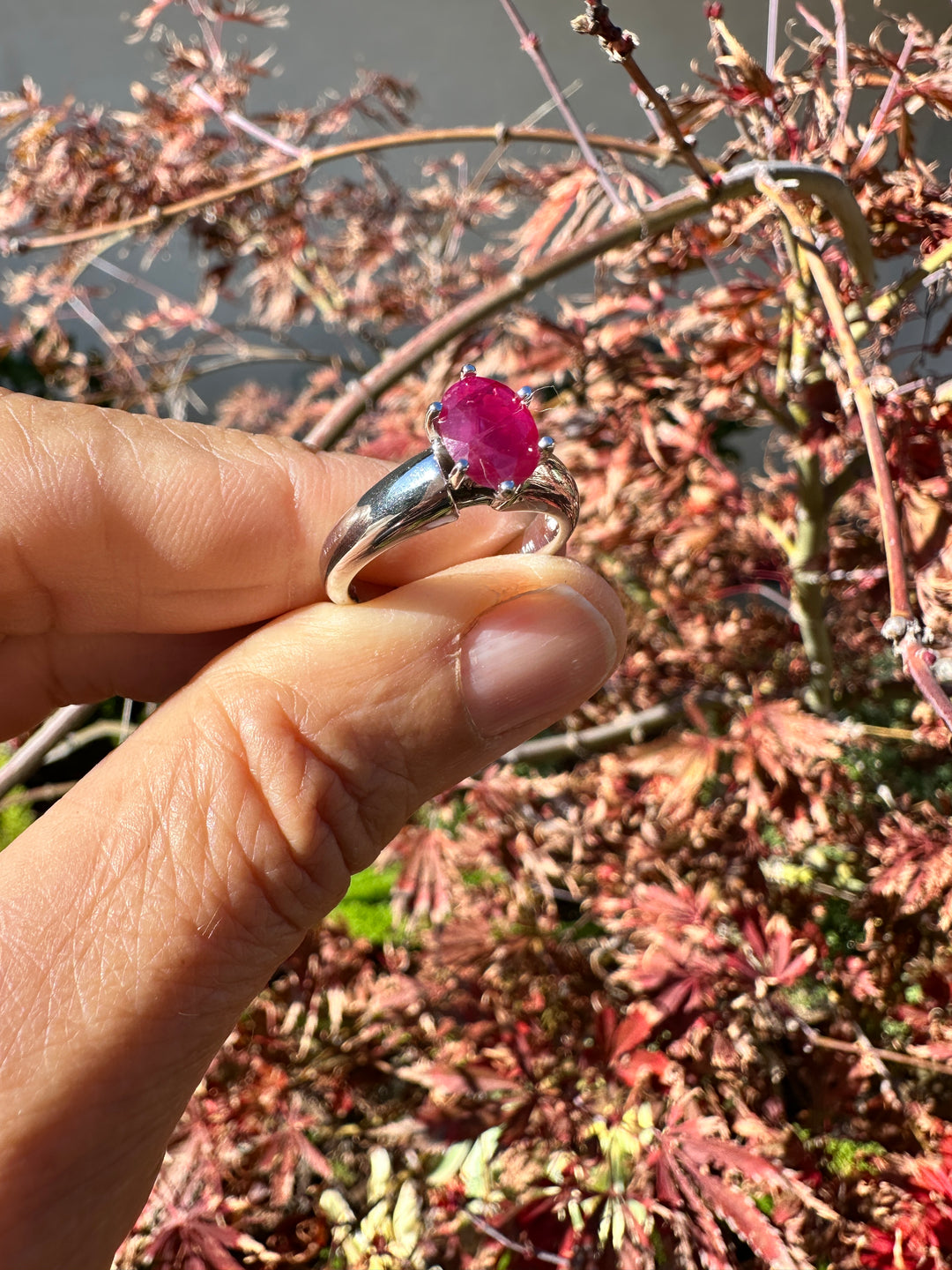 Untitled Nov20_08:17