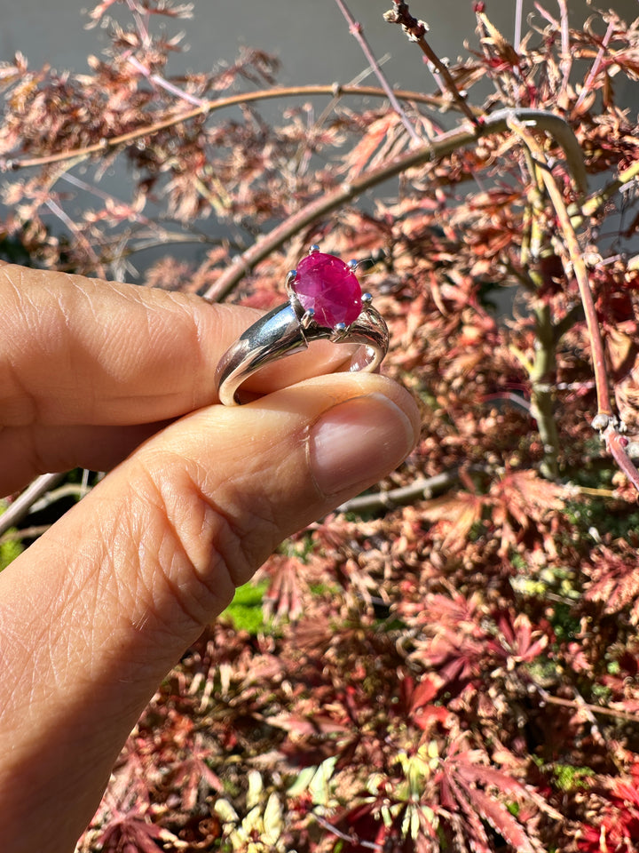 Untitled Nov20_08:17