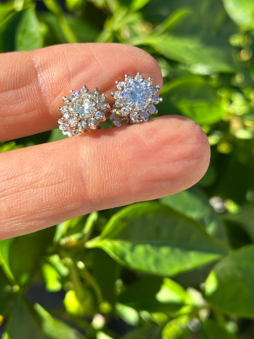 14 karat halo, 2.50 carat diamond stud earrings