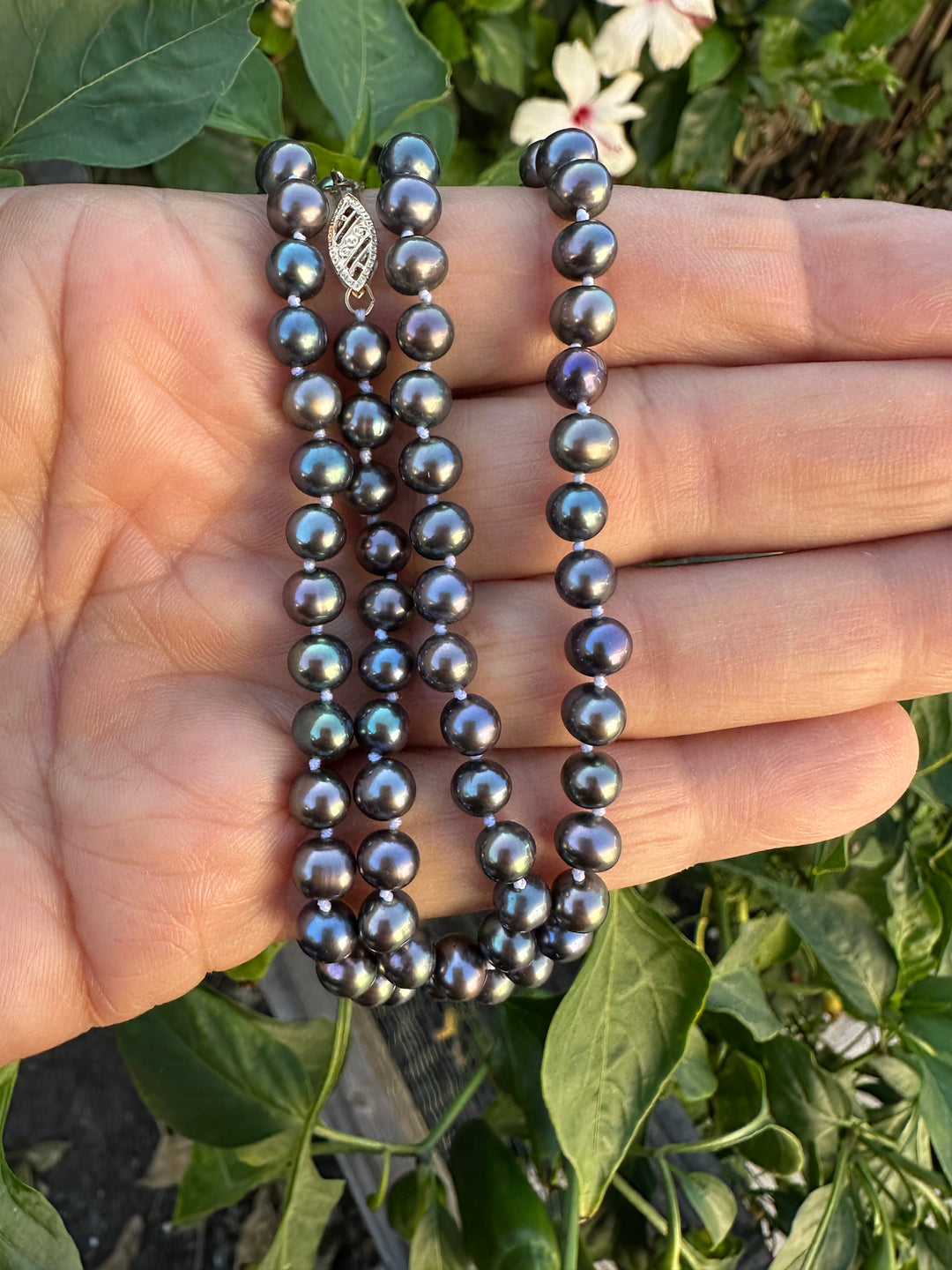 14kt 5.5mm Tahitian Cultured Pearls Blue/Purple 22” Strand Necklace
