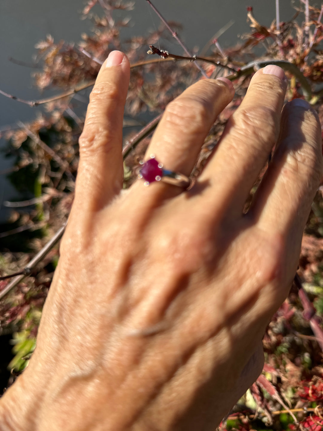 Untitled Nov20_08:17