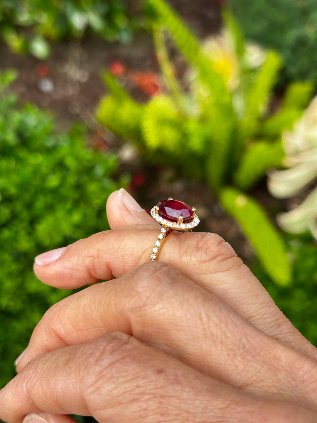 14 karat 3.93 carat red ruby halo ring