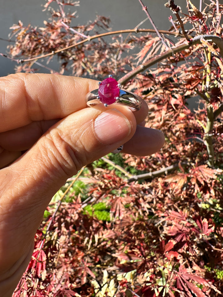 Untitled Nov20_08:17