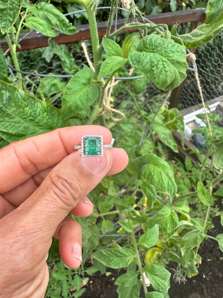 14kt Gold 2.48 Carat Colombian Emerald and Diamond Halo Ring