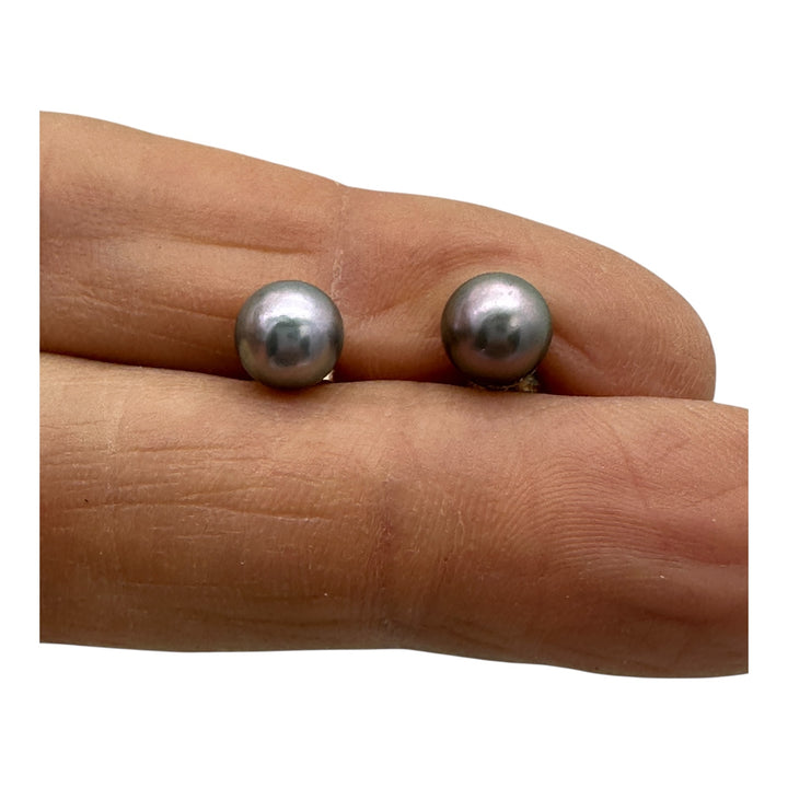14 karat, gold 7 mm Akoya, gray cultured pearls earrings studs AAA quality￼