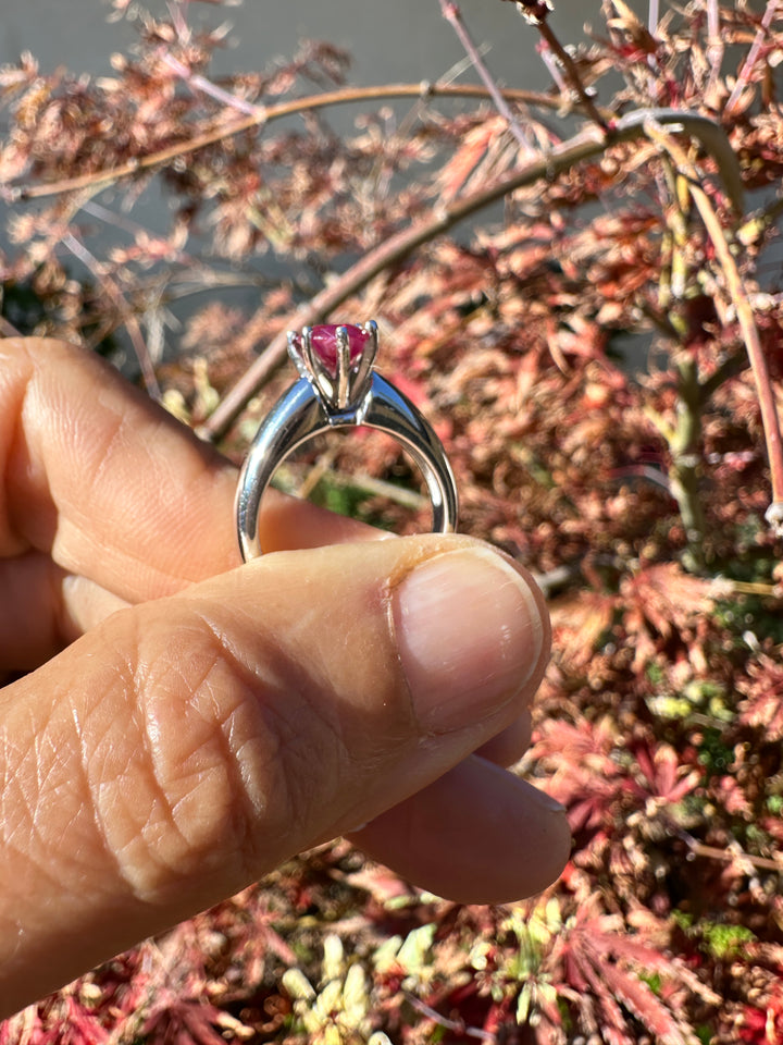 Untitled Nov20_08:17