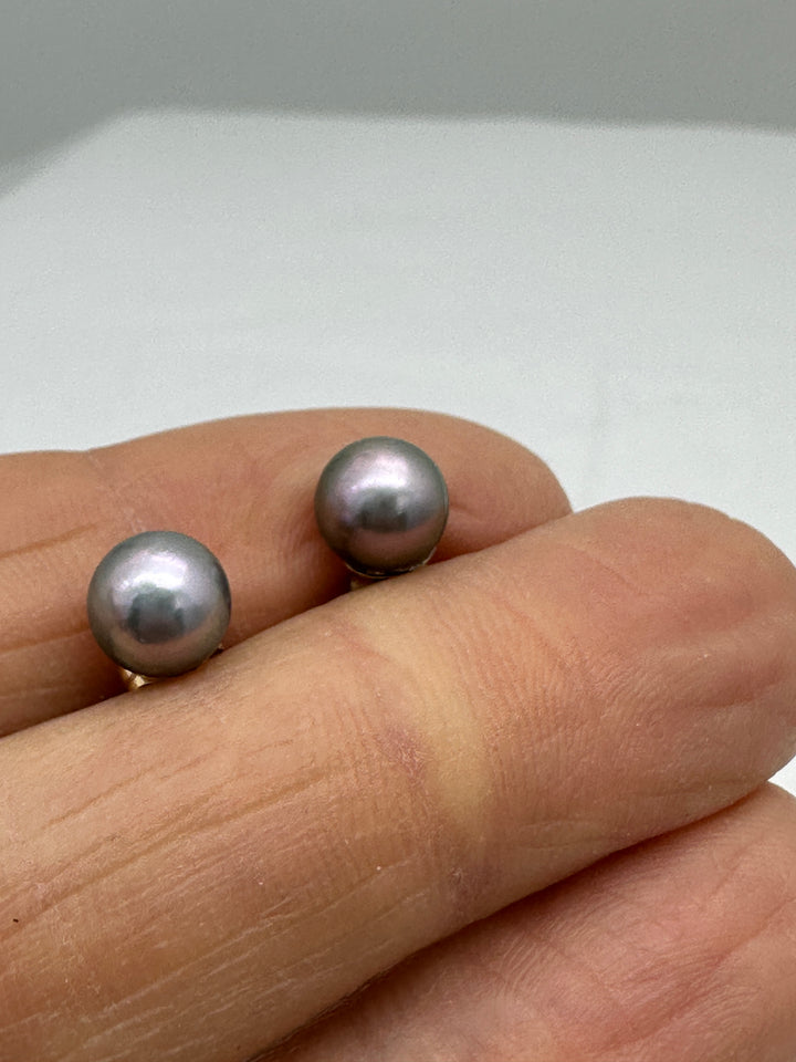 14 karat, gold 7 mm Akoya, gray cultured pearls earrings studs AAA quality￼