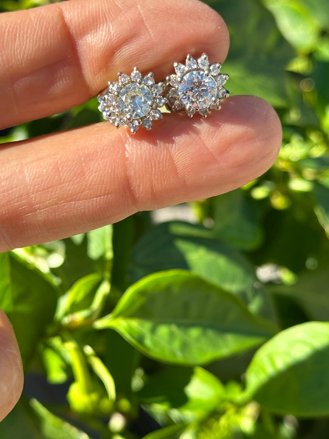 14 karat halo, 2.50 carat diamond stud earrings