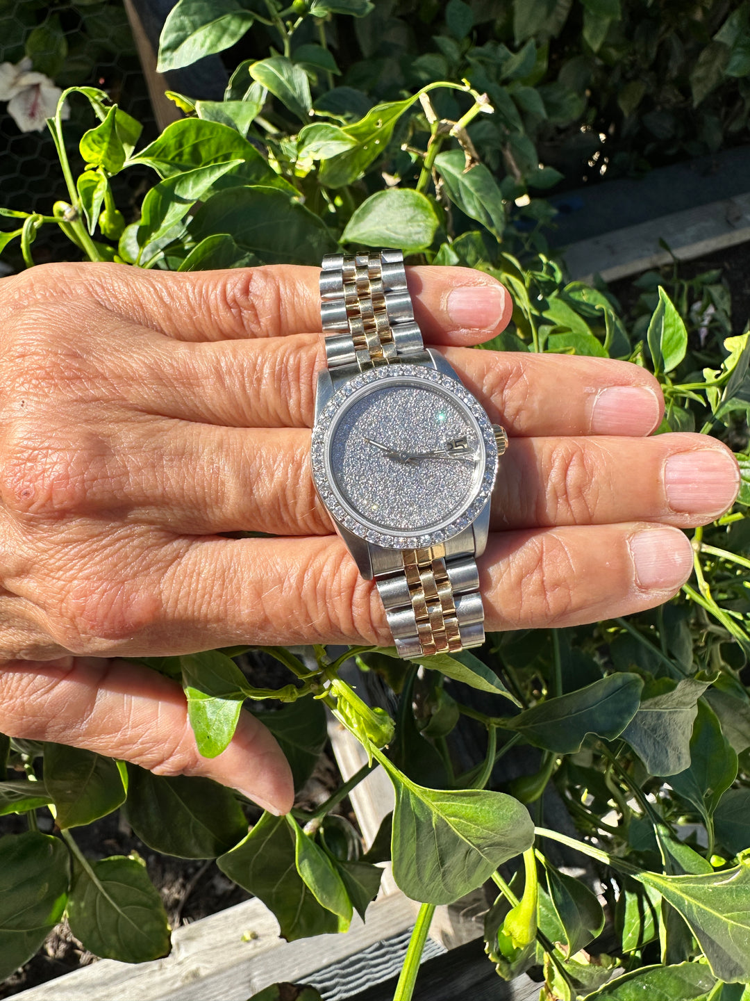 18 karat 2-Tone Rolex Datejust 31 mm Watch 4ctw Diamond Pave Dial and Bezel