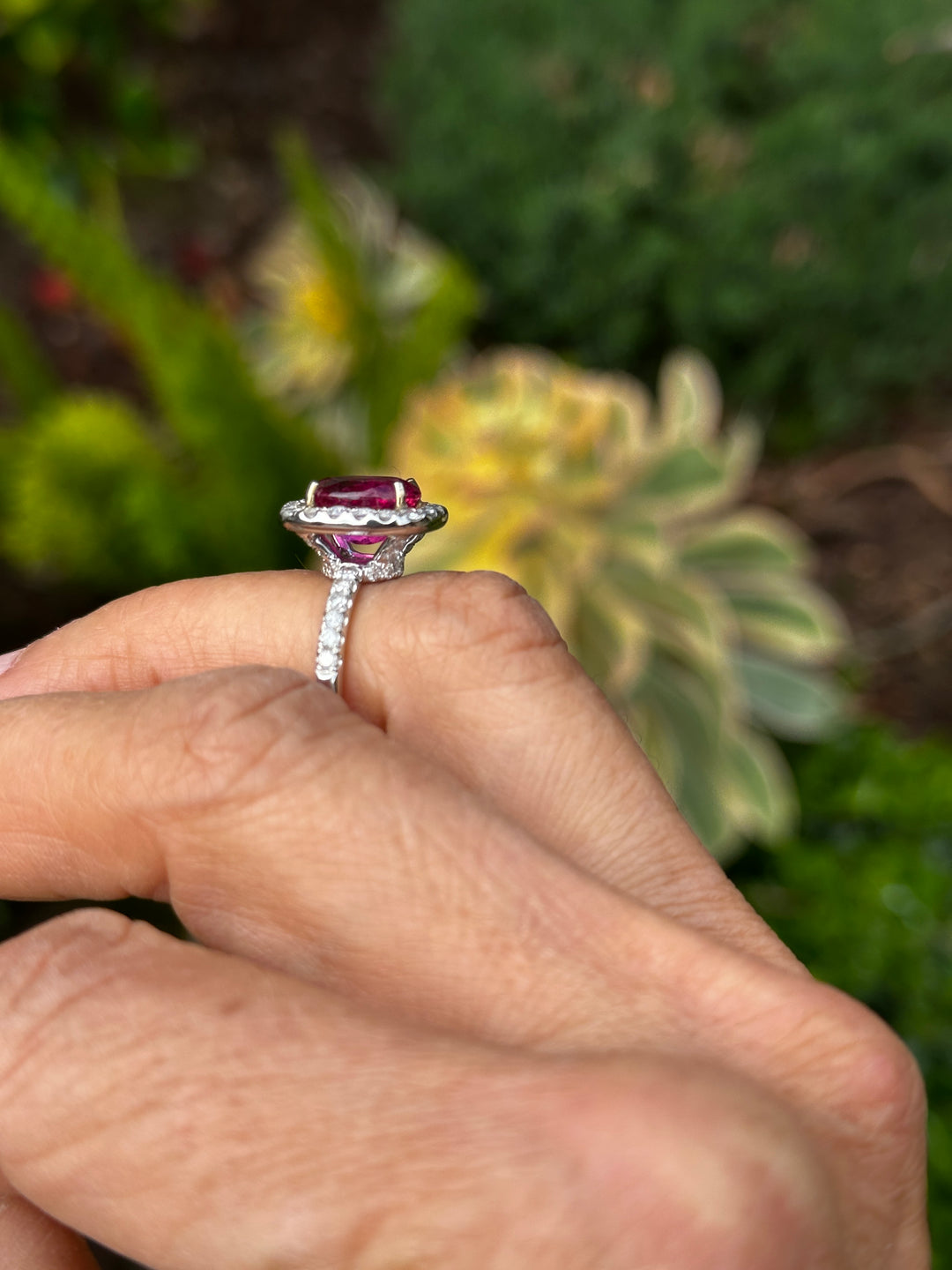 18 karat white gold, 6 carat pink tourmaline and diamond halo ring