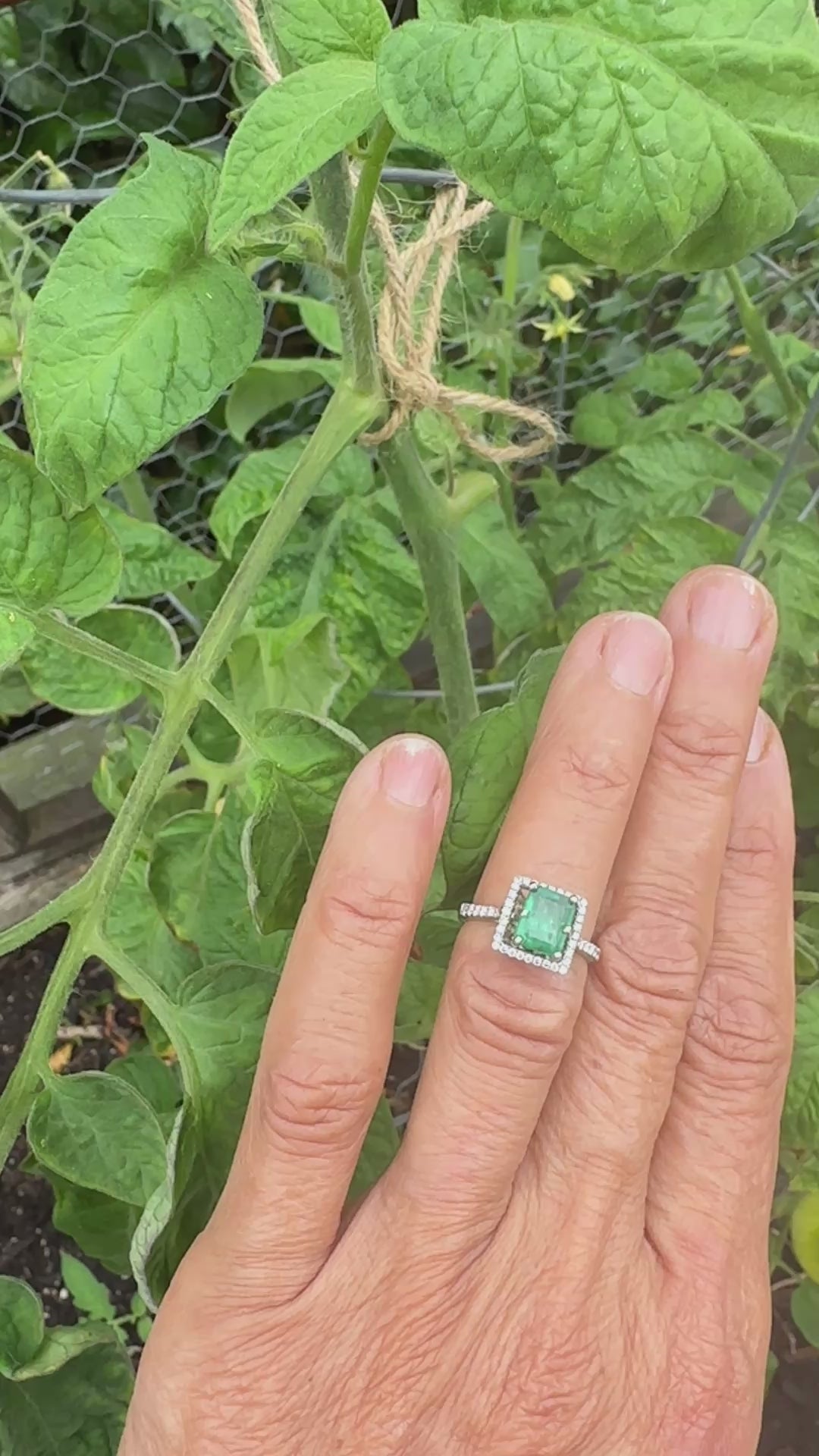 14kt Gold 2.48 Carat Colombian Emerald and Diamond Halo Ring