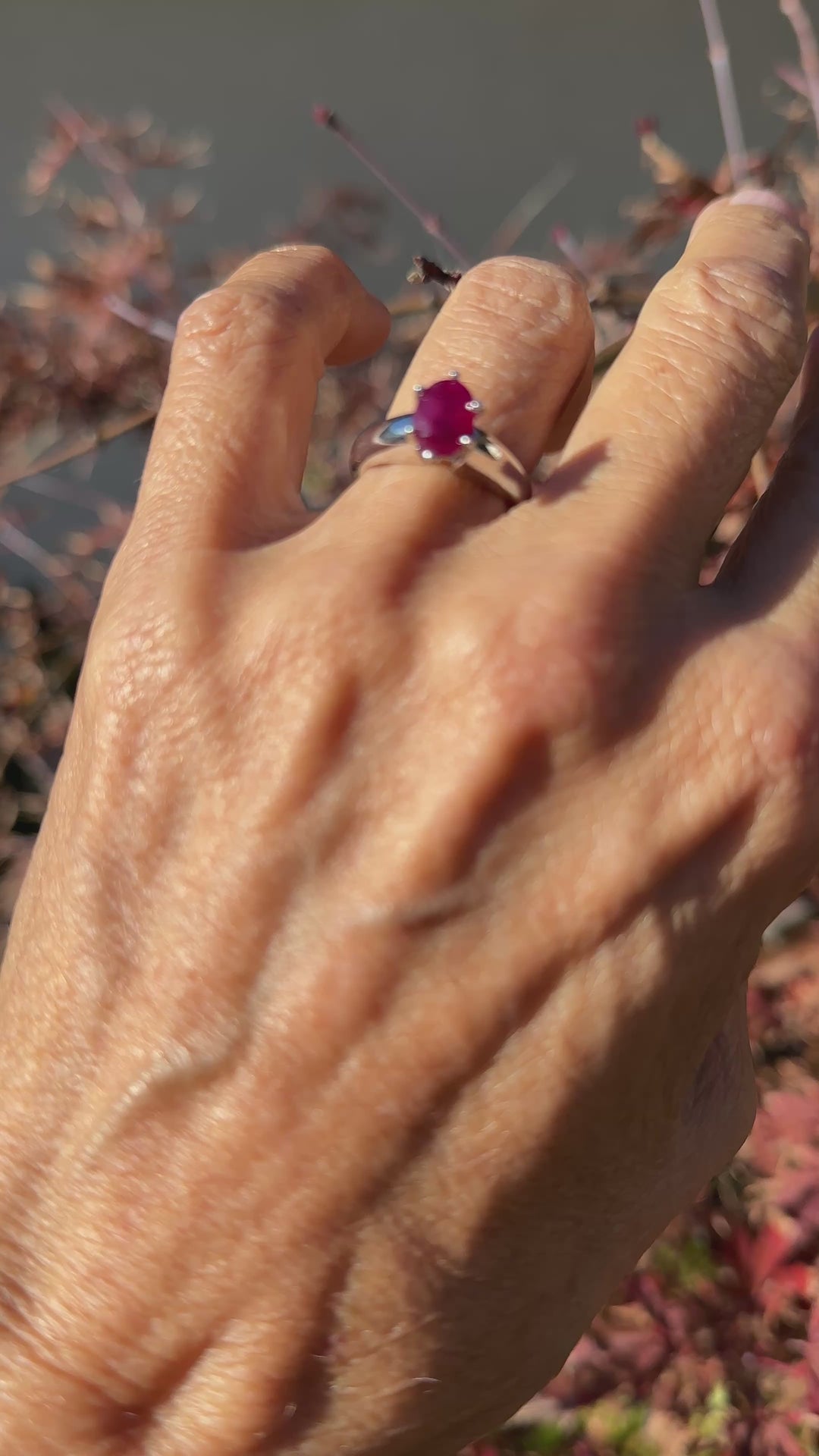 Untitled Nov20_08:17