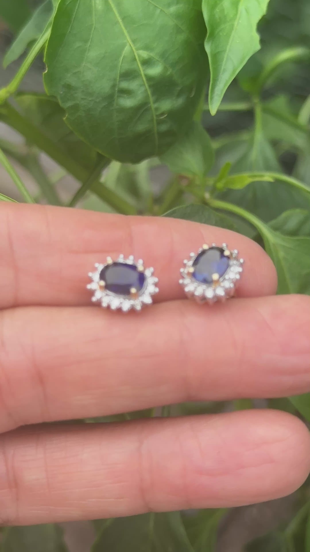 Two tone, 2 carat, sapphire, and diamond, halo stud earrings
