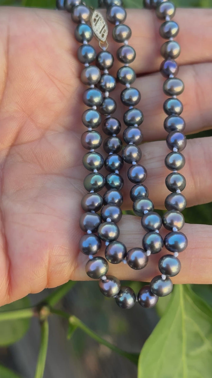 14kt 5.5mm Tahitian Cultured Pearls Blue/Purple 22” Strand Necklace
