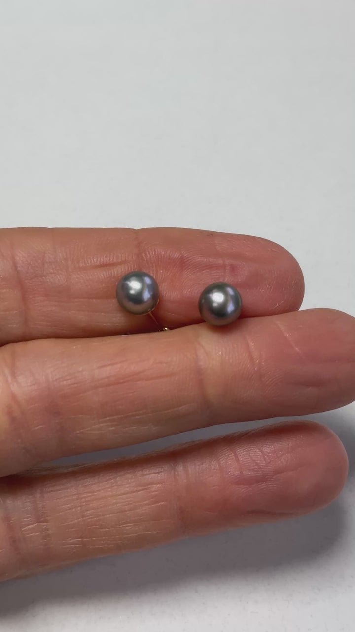 14 karat, gold 7 mm Akoya, gray cultured pearls earrings studs AAA quality￼