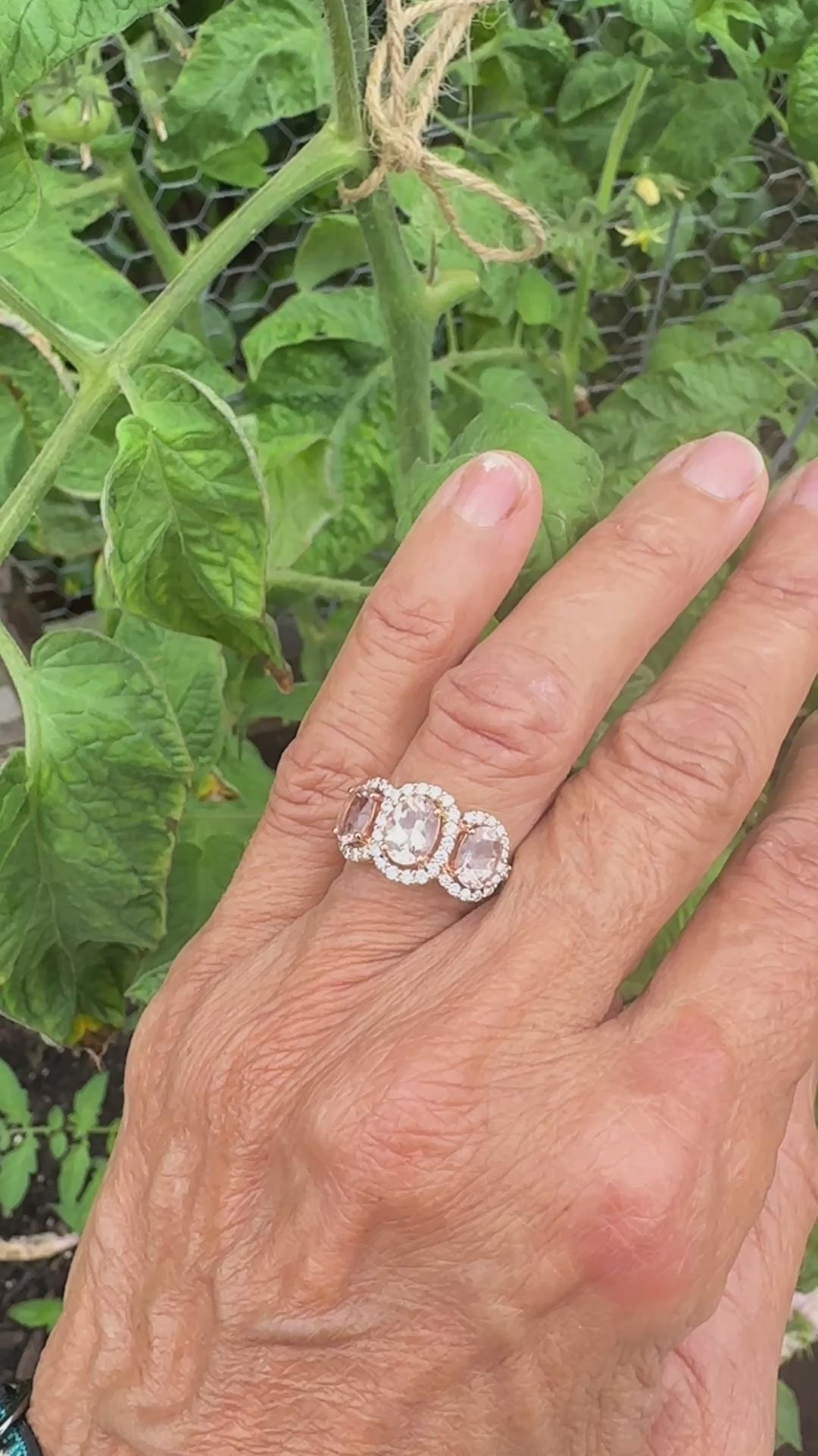 14 karat pink gold, 3-stone Morganite diamond halo ring